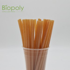 Wholesale Price Biodegradable Pla Plastic Sugarcane Drinking Straws