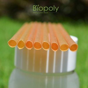 Wholesale Price Biodegradable Pla Plastic Sugarcane Drinking Straws