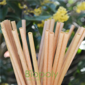 Sugarcane Drinking Straws, Biodegradable, Compostable, and Plastic-Free, Pack of 50, Cocktail