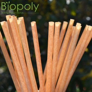 Naturaly Biodegradable Compostable Sugarcane Fiber Drinking Straw
