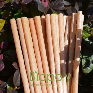 Naturaly Biodegradable Compostable Sugarcane Fiber Drinking Straw
