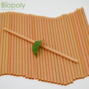 Wholesale Sugarcane Fiber Straw PLA Straws Biodegradable