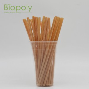 hot sale 100% biodegradable edible sugarcane bagasse drinking straw