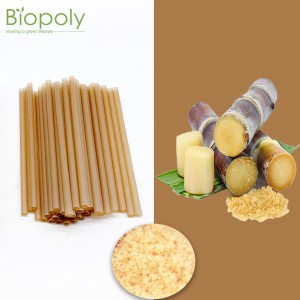 Bio Natural PLA Sugarcane Straight Straws