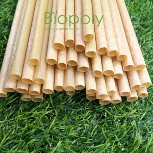 sugarcane bagasse straw Compostable biodegradable Sugar cane drink straws