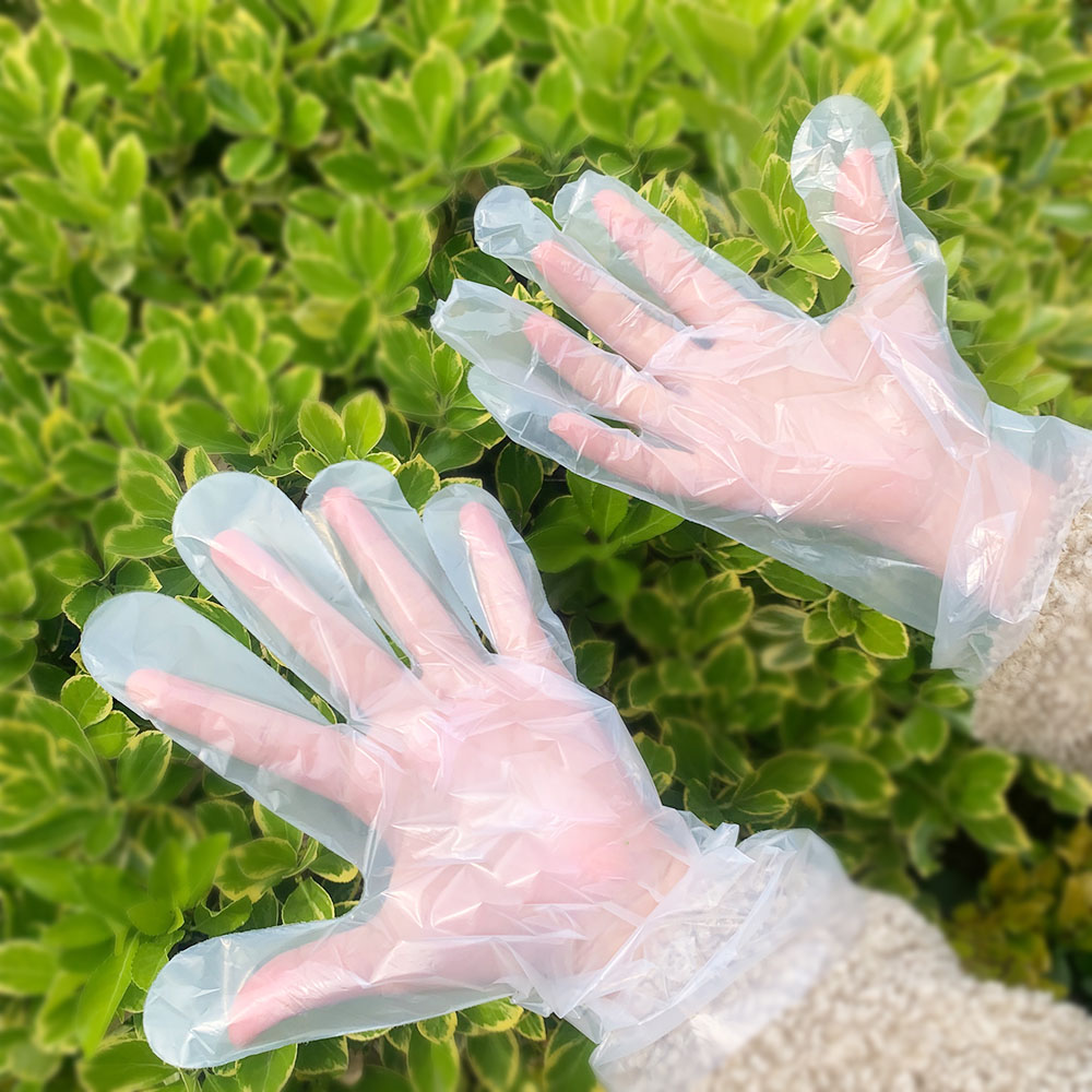 Plant-Based PLA – Pack of 100 Eco-Friendly, and Safe Food Preparation – Plain/Transparent gloves Featured Image