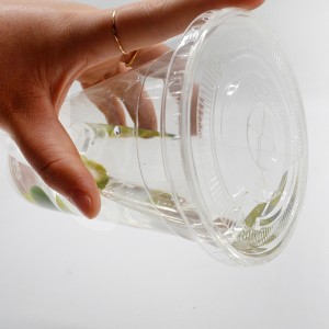 Biopoly Eco-friendly disposable 10oz plastic PLA cup with sip lid