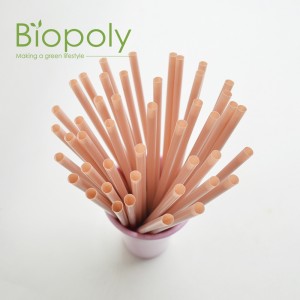 Biodegradable PLA Straight Straws for Bar Accessories Bio Straw Paper Package Printing
