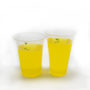 Eco-friendly biodegradable compostable Pla 16oz disposable plastic cup with lid