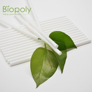 Factory Biodegradable PGA hemp Straight Straw Home Composted Marine Degradation Straw