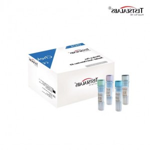 Monkeypox Virus (MPV) Nucleic Acid Detection Kit