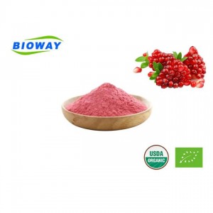 I-Organic Pomegranate Juice Powder