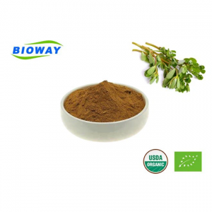 Chinese Herbal Purslane Extract Powder
