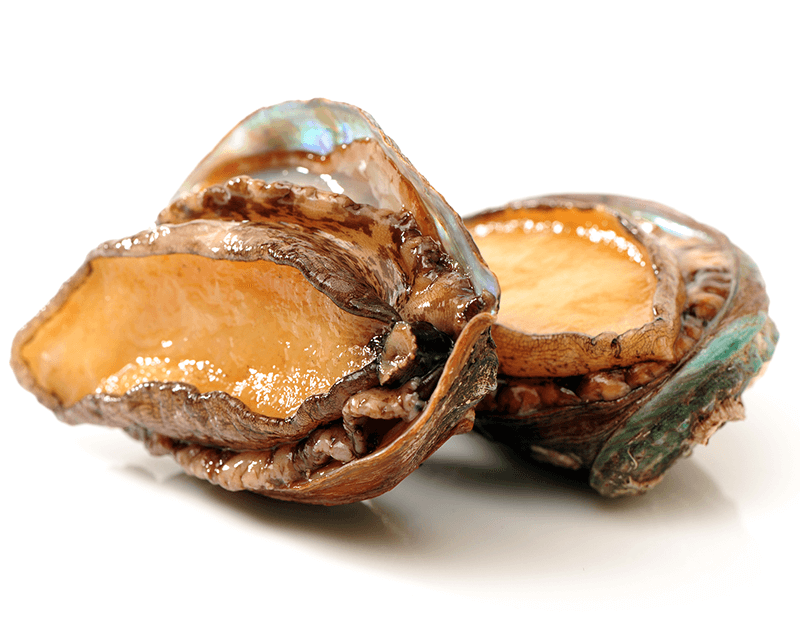 Abalone Peptides: Ludus verso in Medicamine Industry