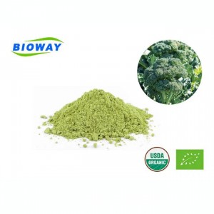 Bubuk Brokoli Organik Kering Udara