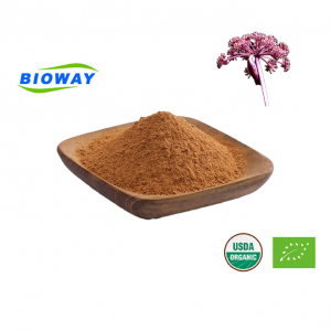 Angelica Decursiva Extract Powder