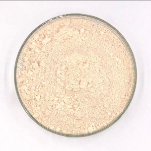 I-Apple Peel Extract 98% yePhloretin Powder