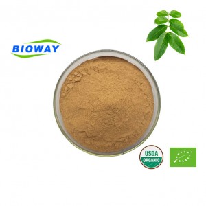 Banaba-Blatt-Extrakt-Pulver