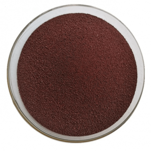 Black Ginger Extract Powder
