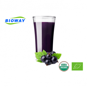 Nutrient-rich Blackcurrant Juice Concentrate