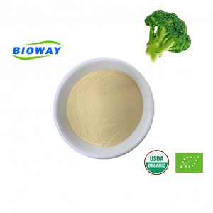Aukštos kokybės brokolių ekstrakto milteliai
