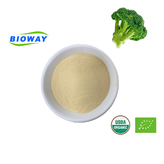 Broccoli Extract Powder (2)
