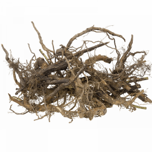 I-Comfrey Root Extract Powder