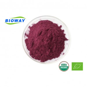 High-Quality Black Elderberry Extract Powder