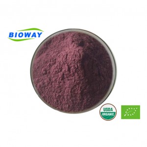Umgangatho ophezulu we-Black Elderberry Extract Powder