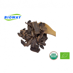 Figwort Root Extract Powder