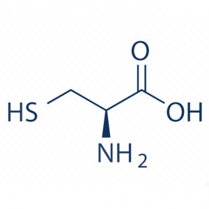Natural L-Cysteine Powder