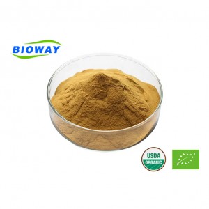 Ligusticum Wallichii Extract Powder