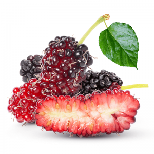 Pure Mulberry Juice Concentrate