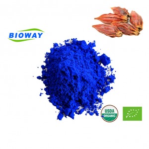 Természetes színű Gardenia Blue pigment por