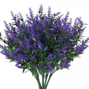 ຊາດອກ Lavender ຢາຂ້າແມງໄມ້ຕ່ໍາ