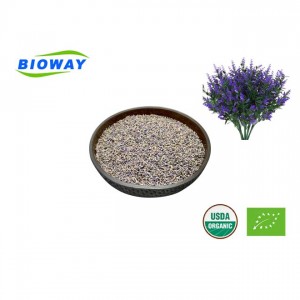 Τσάι λουλουδιών λεβάντας με χαμηλό φυτοφάρμακο