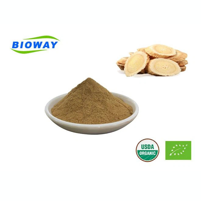 Organic Astragalus Root Extract  With 20% Polysaccarides Featured Image