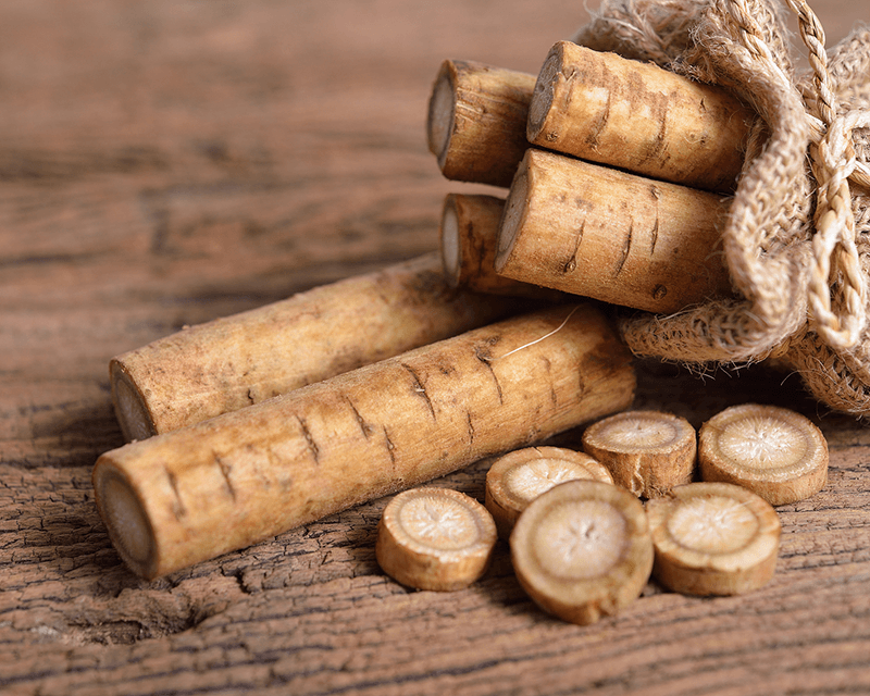 Organiczny korzeń łopianu: zastosowania w medycynie tradycyjnej