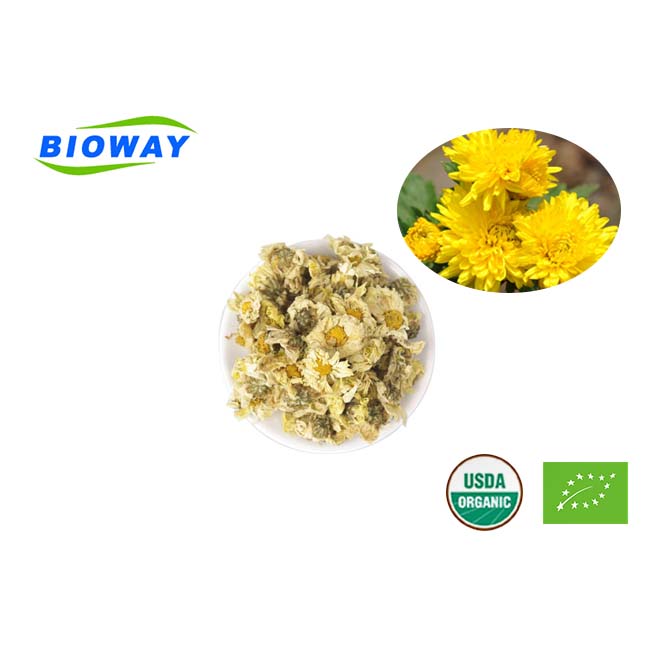 Organic Chrysanthemum Flower Tea Featured Image