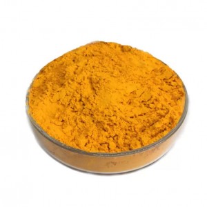 Pure Organic Curcumin Powder