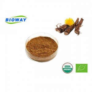 Organic Dandelion Root Ratio Extract Powder