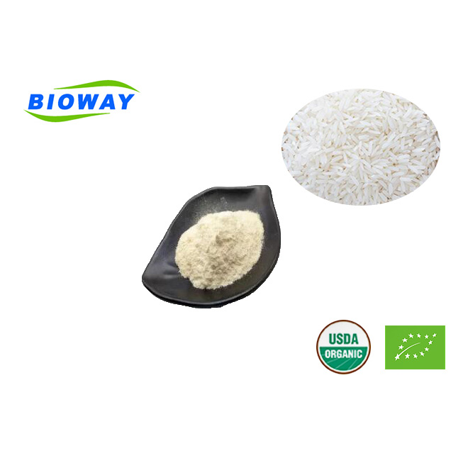 Organic Rice Protein Powder