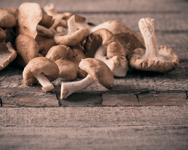 Why Shiitake Mushrooms Are Good For You?
