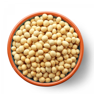Organic Textured Soy Protein