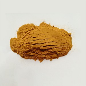 Organic Cordyceps Militaris Extract Powder