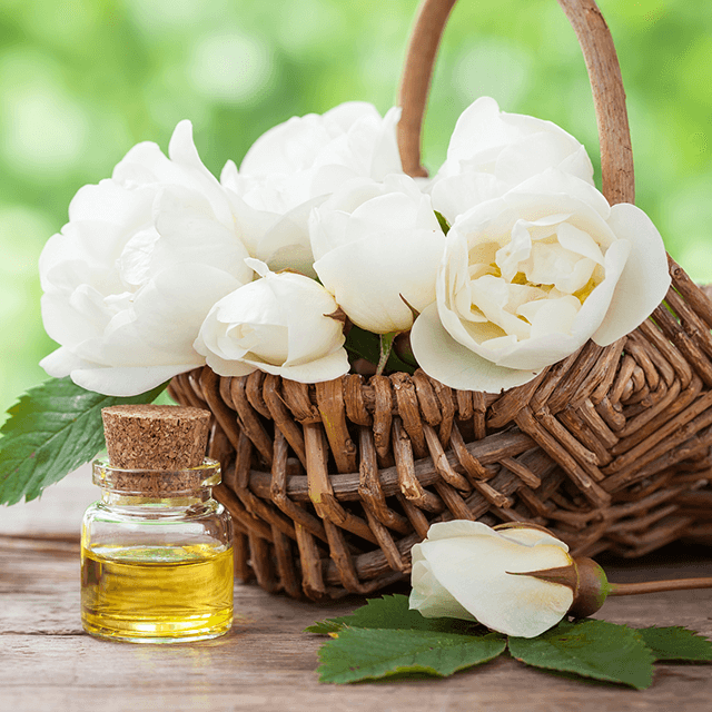 The Art and Science of Peony Seed Oil Manufacturing（一）