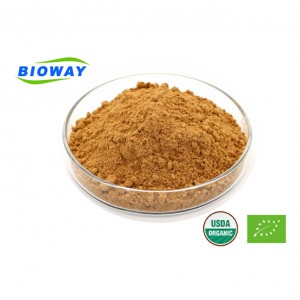 Platycodon Root Extract Powder