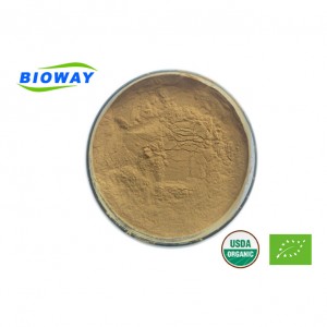 Platycodon Root Extract Powder