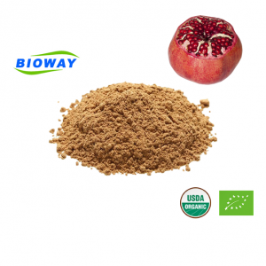 Granatapfel-Extrakt Punicalagins-Pulver