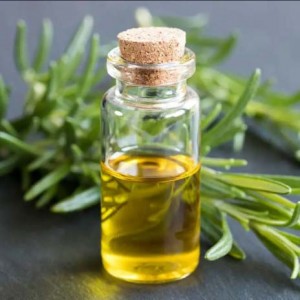 Pure Organic Rosemary Oil with Steam Distillation